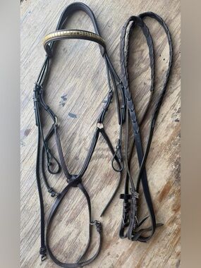Oversized figure 8 bridle and reins